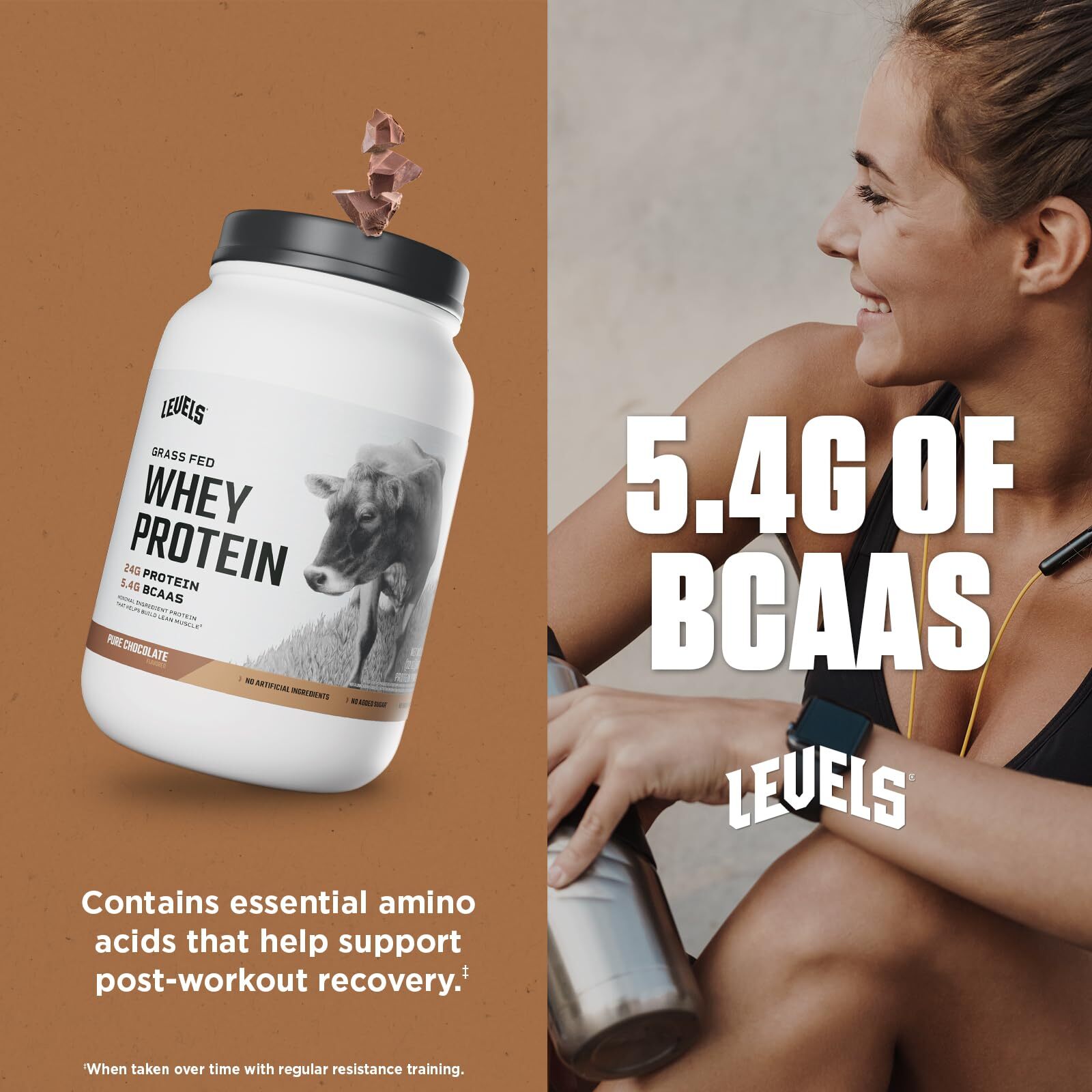 WHEY PROTEIN POWDER Grass Fed Pure Chocolate 2lb LEVELS NUTRITION