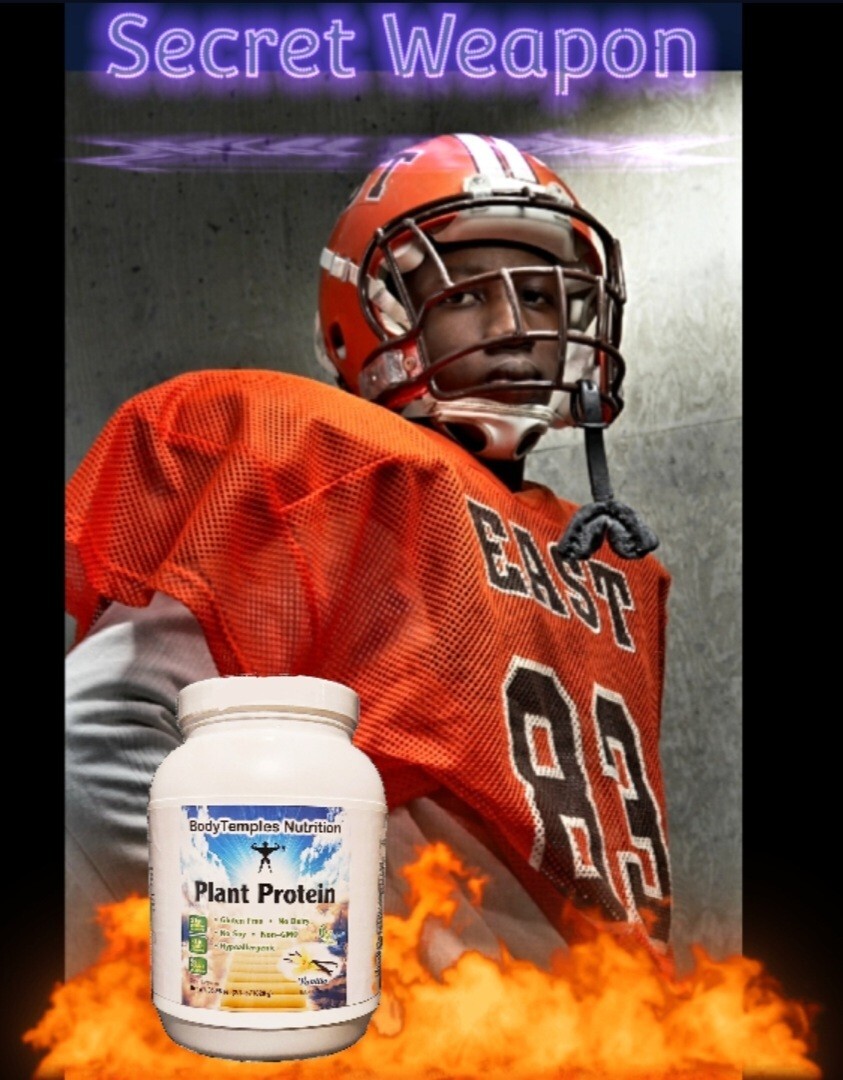 BodyTemples Plant Protein Non-GMO 21g w/ 7 grams BCAA Amino Acids Reg. Size