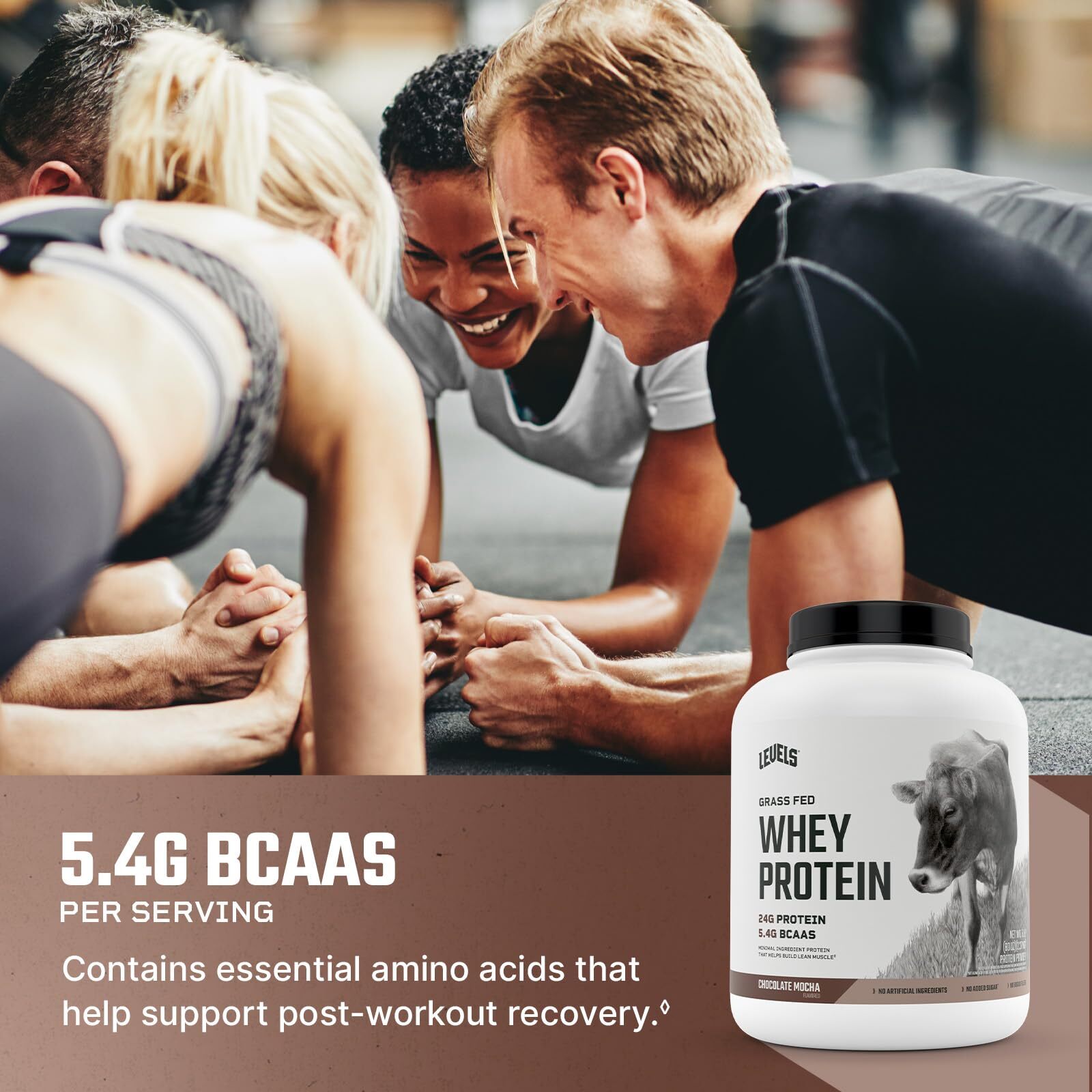 Levels Chocolate Mocha Whey Protein Powder 71 Servings 24g Protein per Scoop