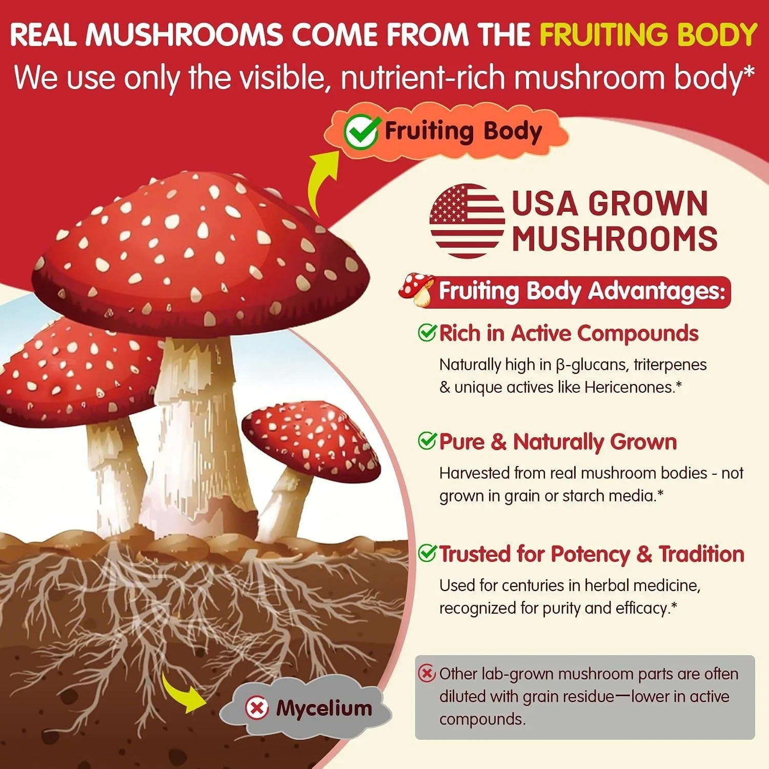 Lions Mane Mushroom Focus Gummies for Kids, Teens & Adults, 24-IN-1 Brain Gummy