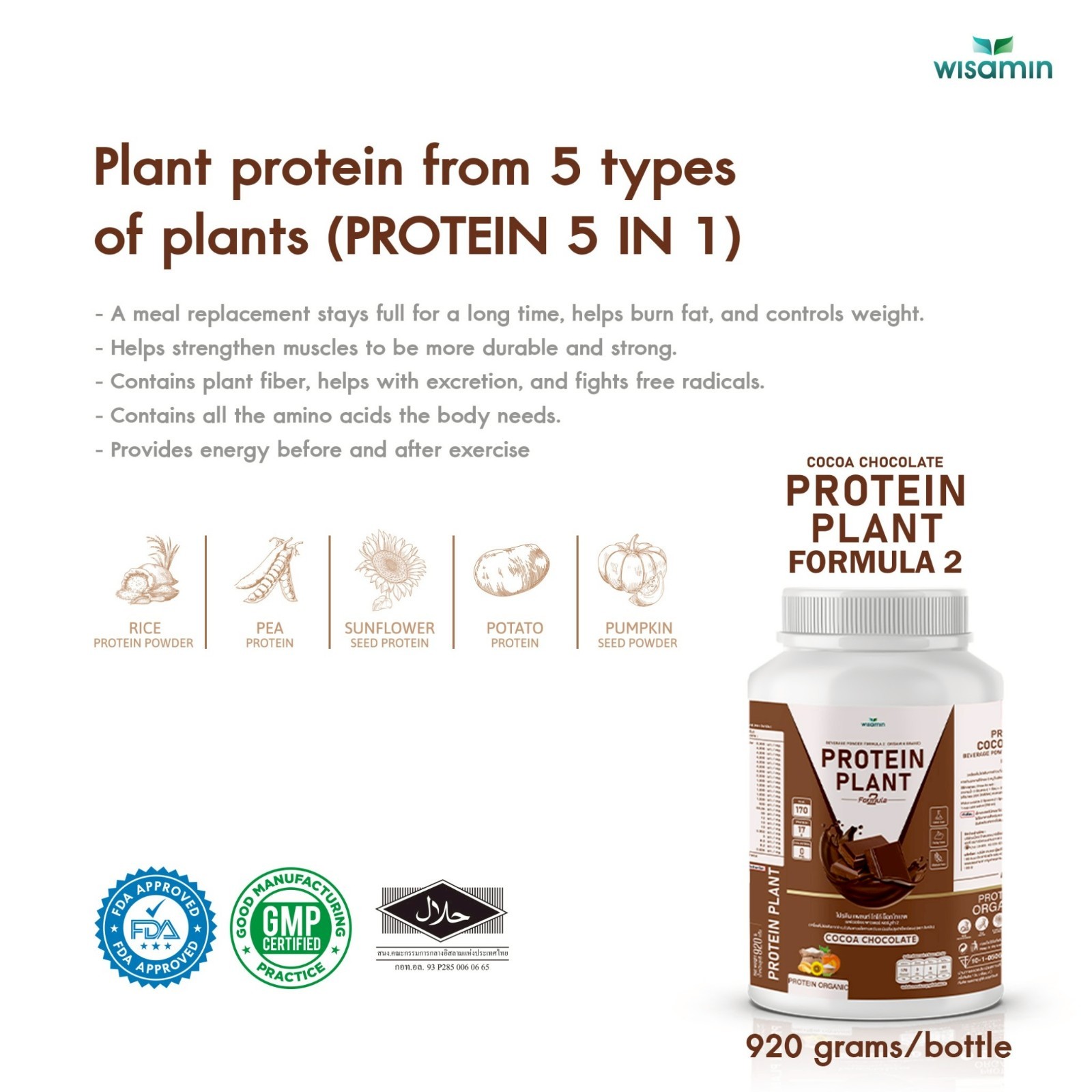 WISAMIN Plant Protein Cocoa F2 | 920g 2lbs | Organic, Soy/Gluten-Free, Non-GMO