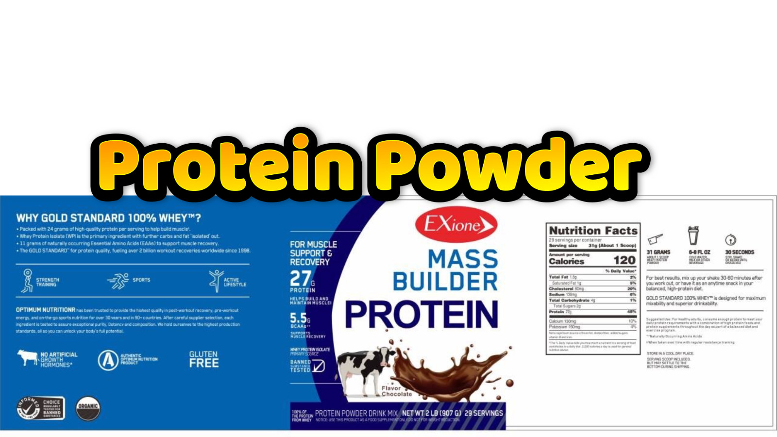Whey Protein Powder Chocolate Drink Mass Gainer Body Building Muscle Supplement