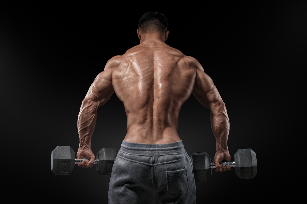 testosteron natural – BODYBUILDING PILLS FOR MEN – tribulus extract 2B