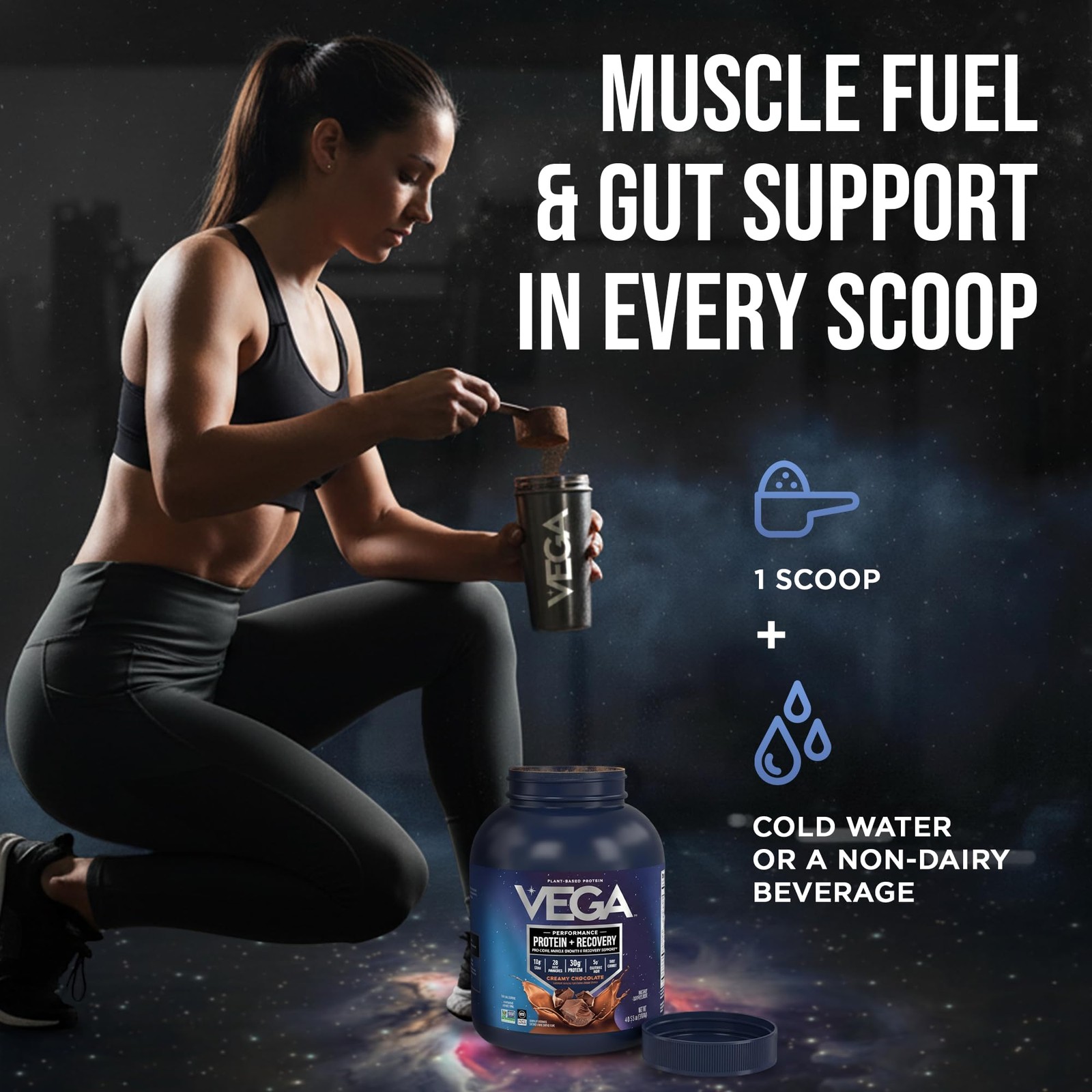 Protein + Recovery Vegan 30g Chocolate 4.4 lbs 45 Servings Dairy & Gluten Free