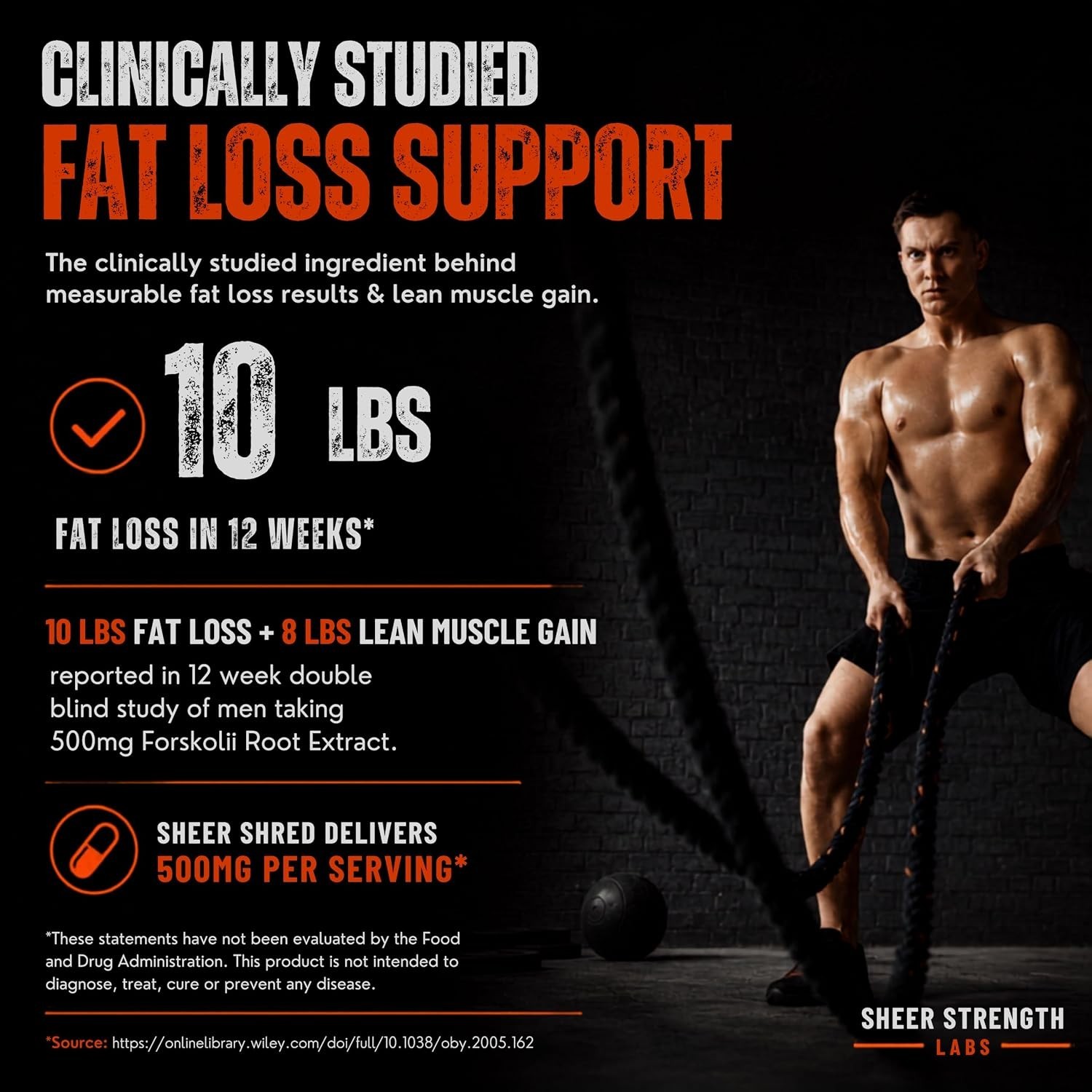 Sheer Shred Premium Thermogenic + Sheer Alpha: Test Booster Fat Burner Combo Pac
