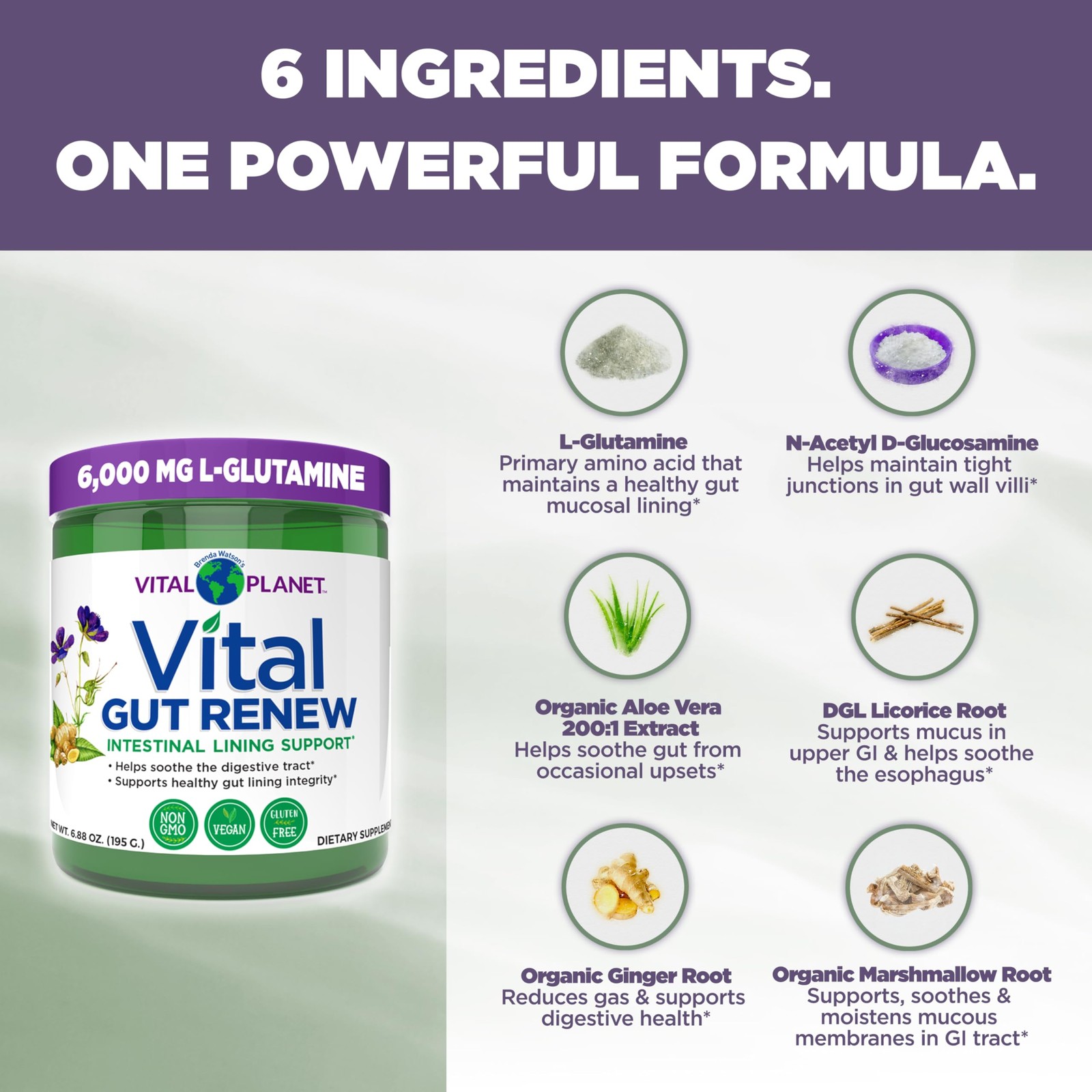 Vital Gut Renew Powder Supplement for Leaky Gut Repair with L-Glutamine,