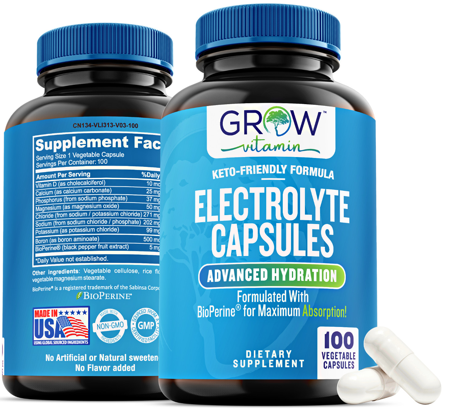Electrolyte Salt Tablets – 100 Pills – Electrolytes Replacement Supplement for R