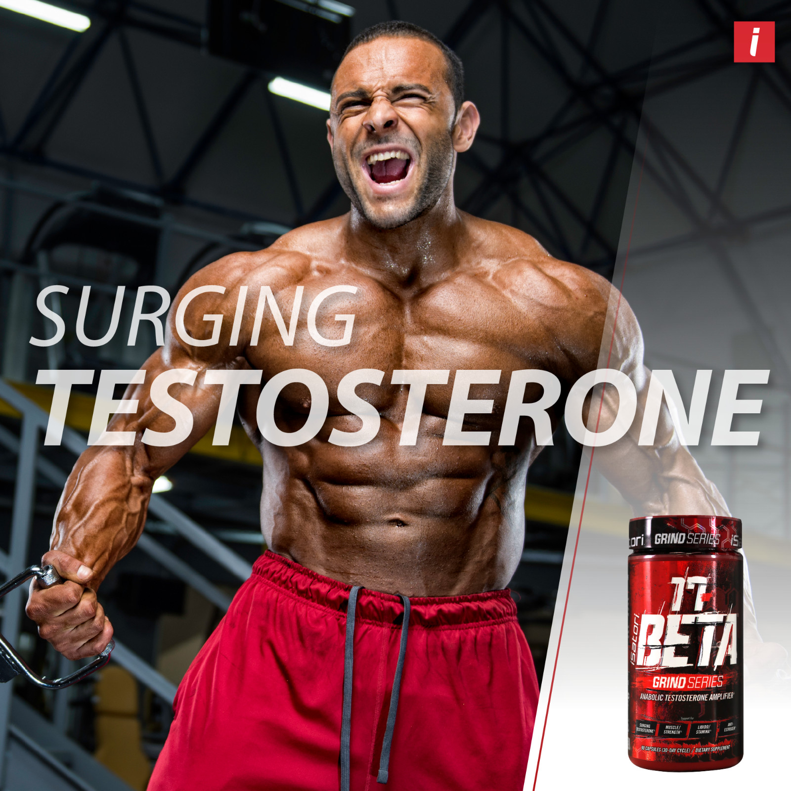 iSatori 17-BETA Testosterone Amplifier DHEA for Muscle & Strength – 90 Capsules