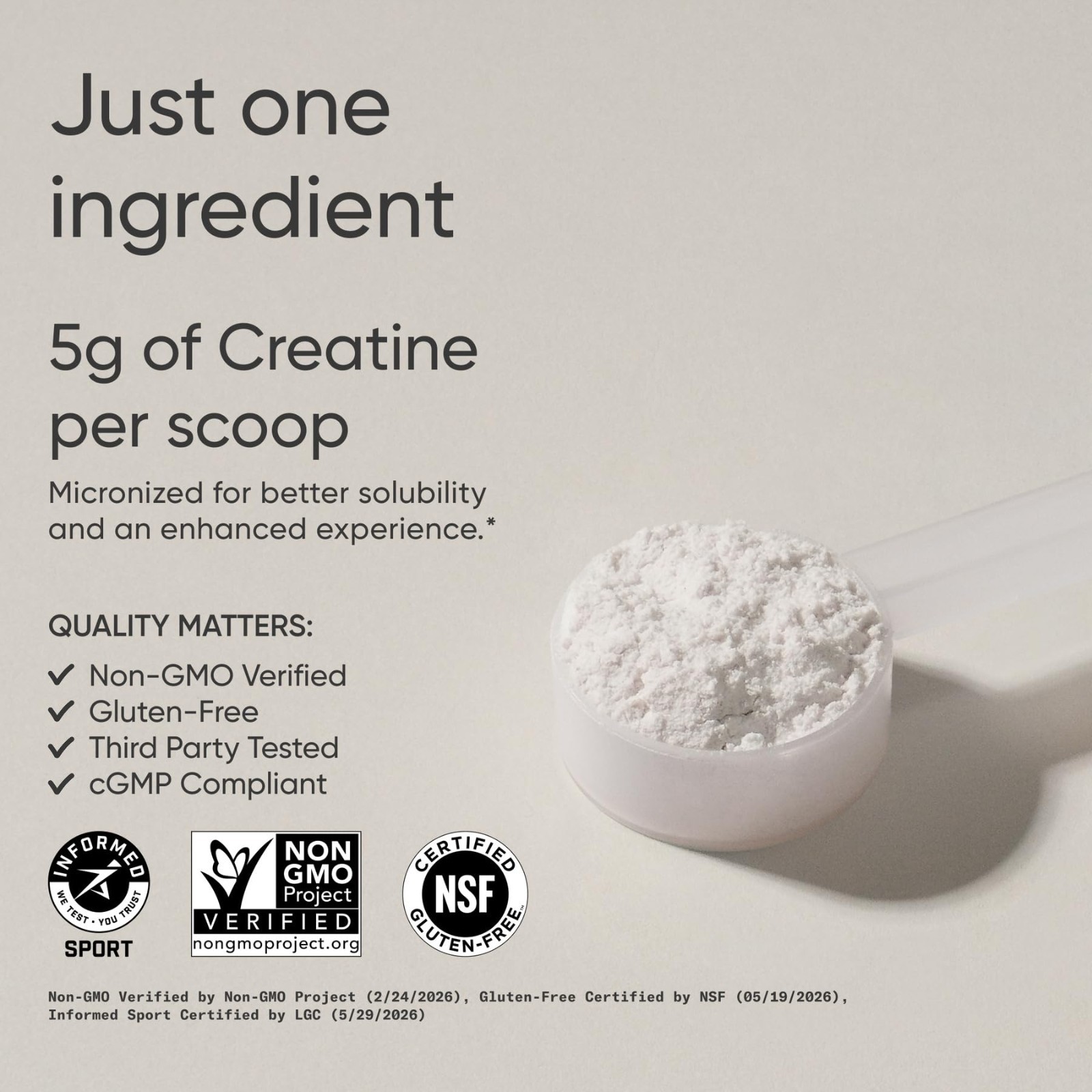 Creatine Monohydrate Powder 5g – Fruit Punch, 60 Servings | Gain Muscle, Boost S