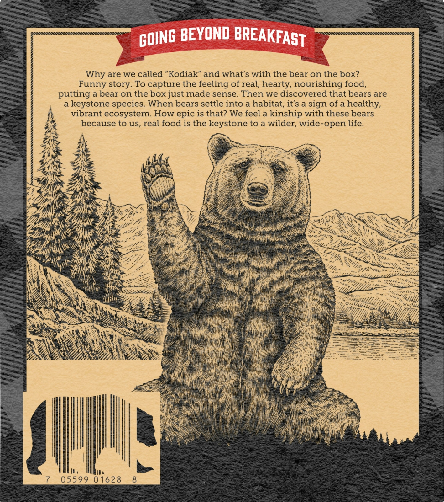 Kodiak Bar Granola Chocolate Chip Chewy 6.17 Oz (Pack of 12)