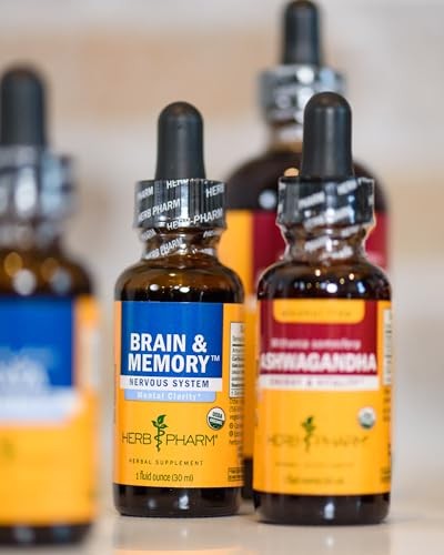 Herb Pharm Brain & Memory Liquid Herbal Formula, Ginkgo, Focus, 4 Fl Oz
