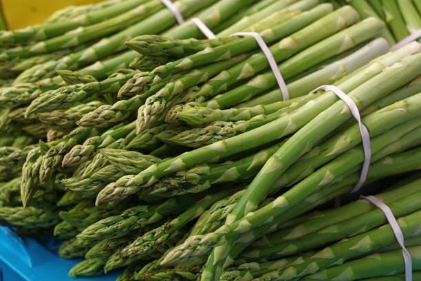 Whole food extract – ASPARAGUS YOUNG SHOOTS – Immune system support 1Bot 60Caps