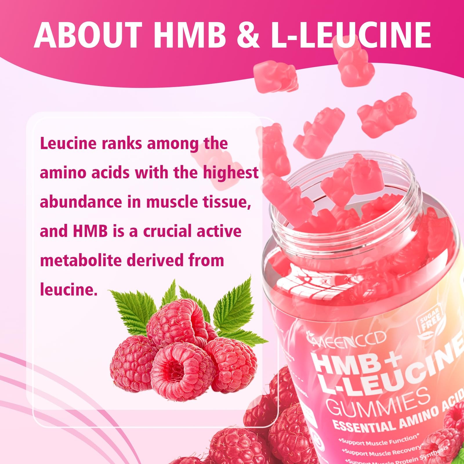 MEENCCD 2 Pack HMB and LLeucine Gummies, HMB and Leucine Amino Acid for Muscl…