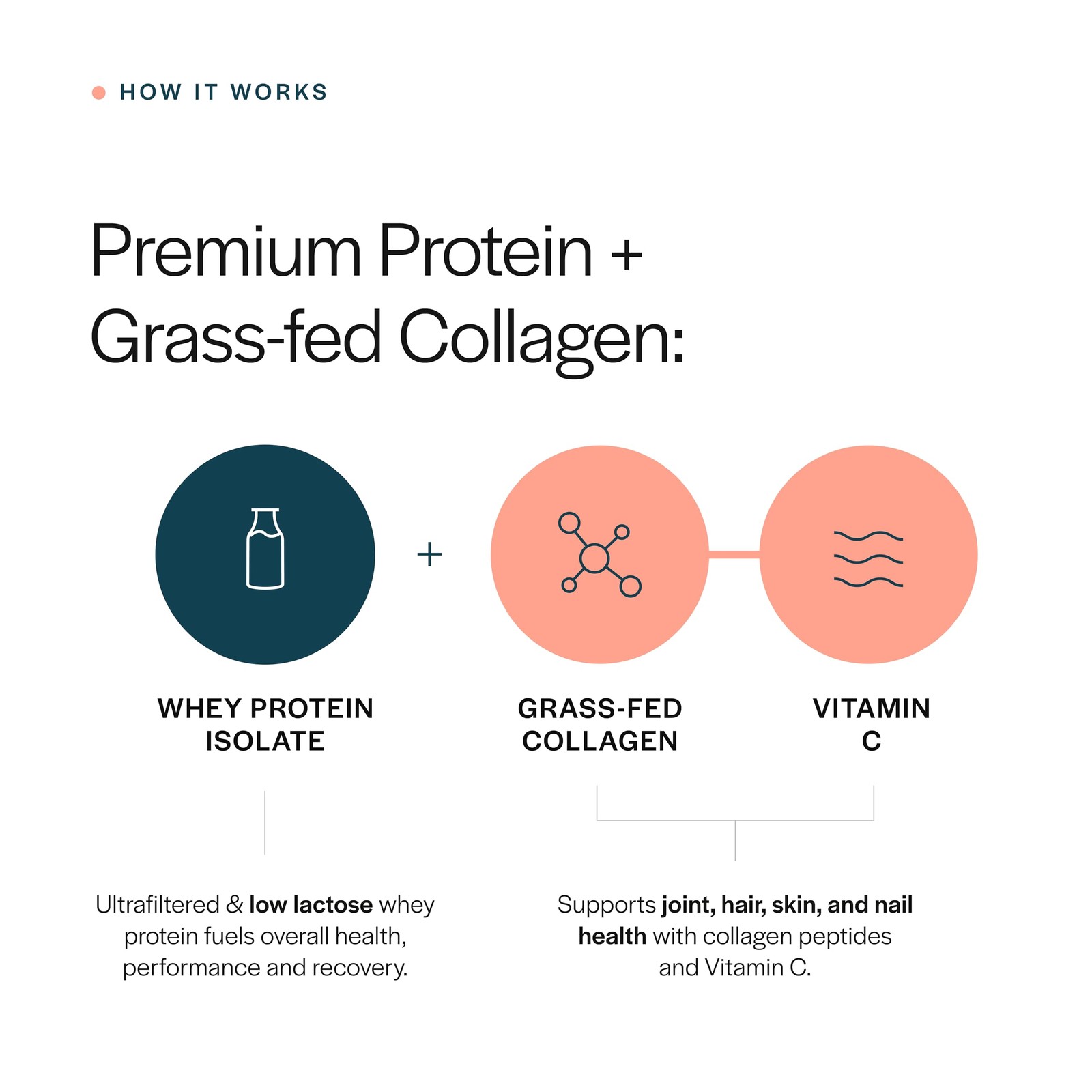 Gainful Collagen Whey Protein Powder, 21g Protein per Serving, Unflavored, Su…