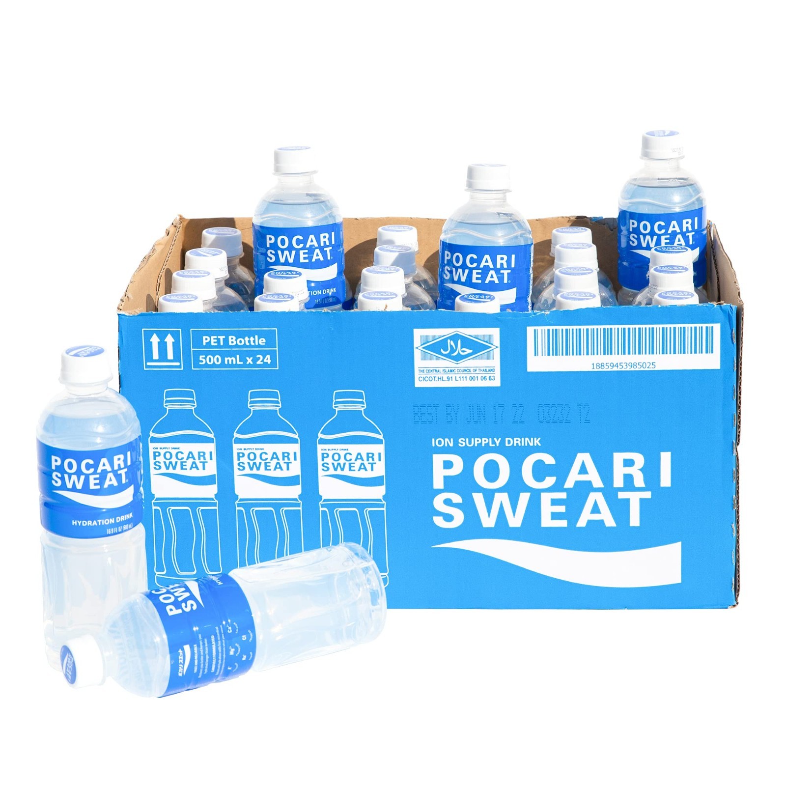 Electrolyte Drink 24 Pack – Hydration & Recovery Beverage, 16.9 fl oz Bottles