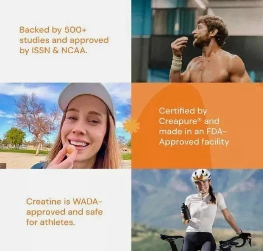 Create Wellness Every Creatine Monohydrate Orange Flavor 90 Gummies