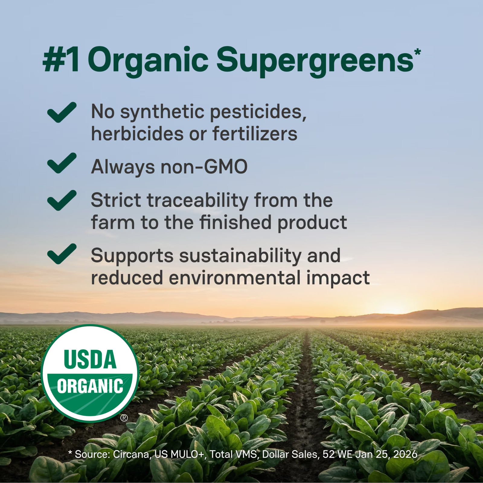 Zena Organic Supergreens Powder, Mixed Berry, 30 Servings 70+ Superfoods, 0Sugar