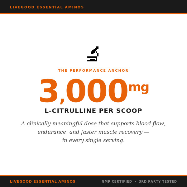 Essential Aminos EAA BCAA Powder 3000mg Citrulline Electrolytes LiveGood 30srv