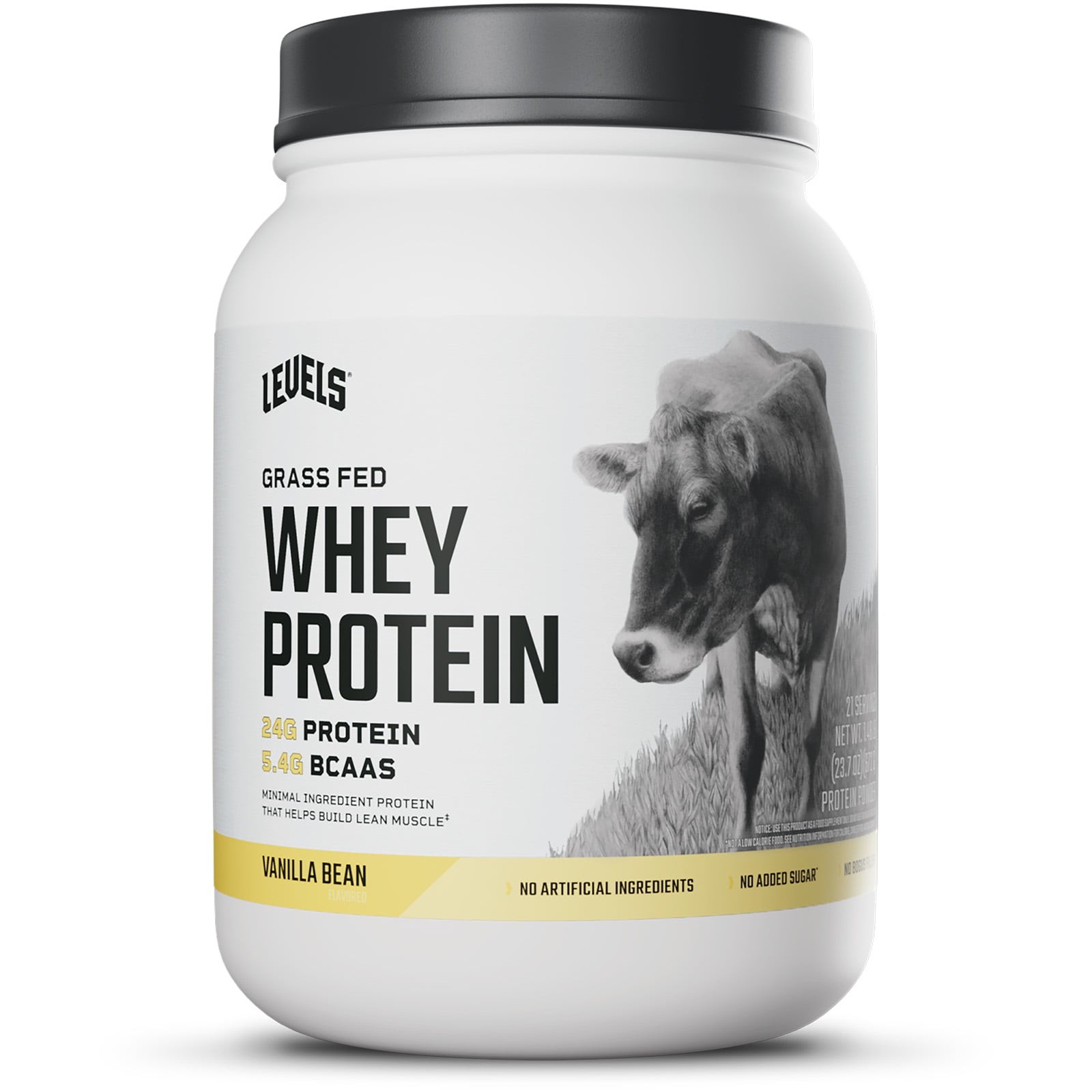 Grass Fed Whey Protein Powder, No Artificials, 24G of Protein, Vanilla Bean