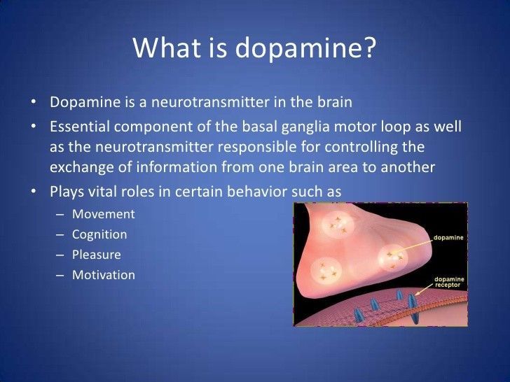 Serotonin levels – L-DOPA Mucuna Extract 99% 350mg – dopamine natural -2 Bottles