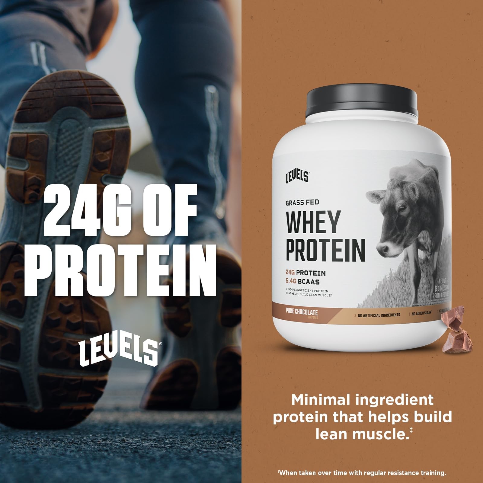 Grass Fed Whey Protein Powder 24G Protein Pure Chocolate 5LB