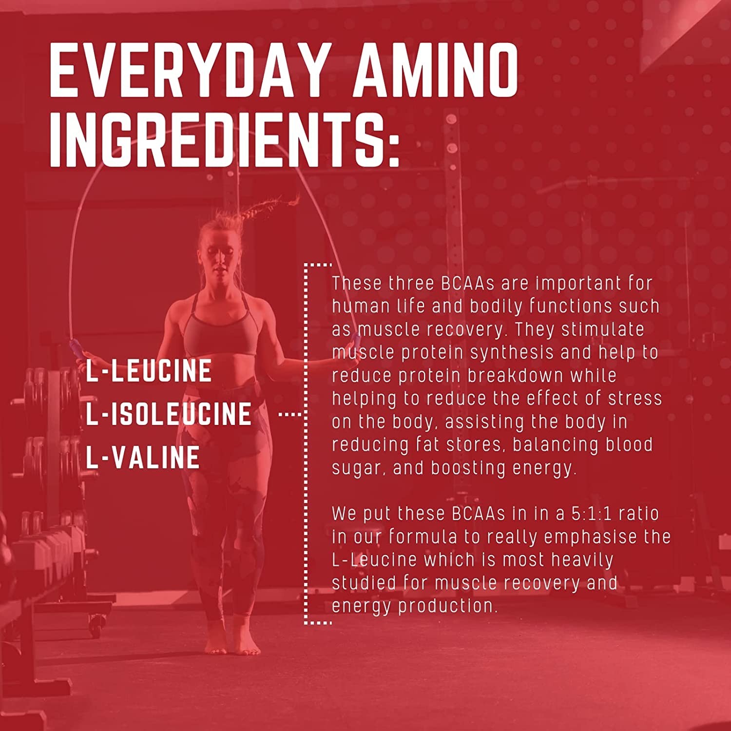 Purus Labs Everyday Amino BCAA| Muscle Hydration 40 Serving – Strawberry Limeade