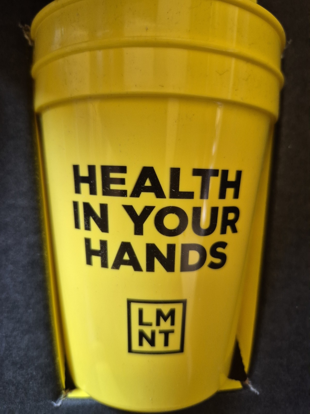 NIB – LMNT Lemonade + Iced Tea Kit: 2 Qt. Pitcher , Picnic Blanket, (4) Cups, &