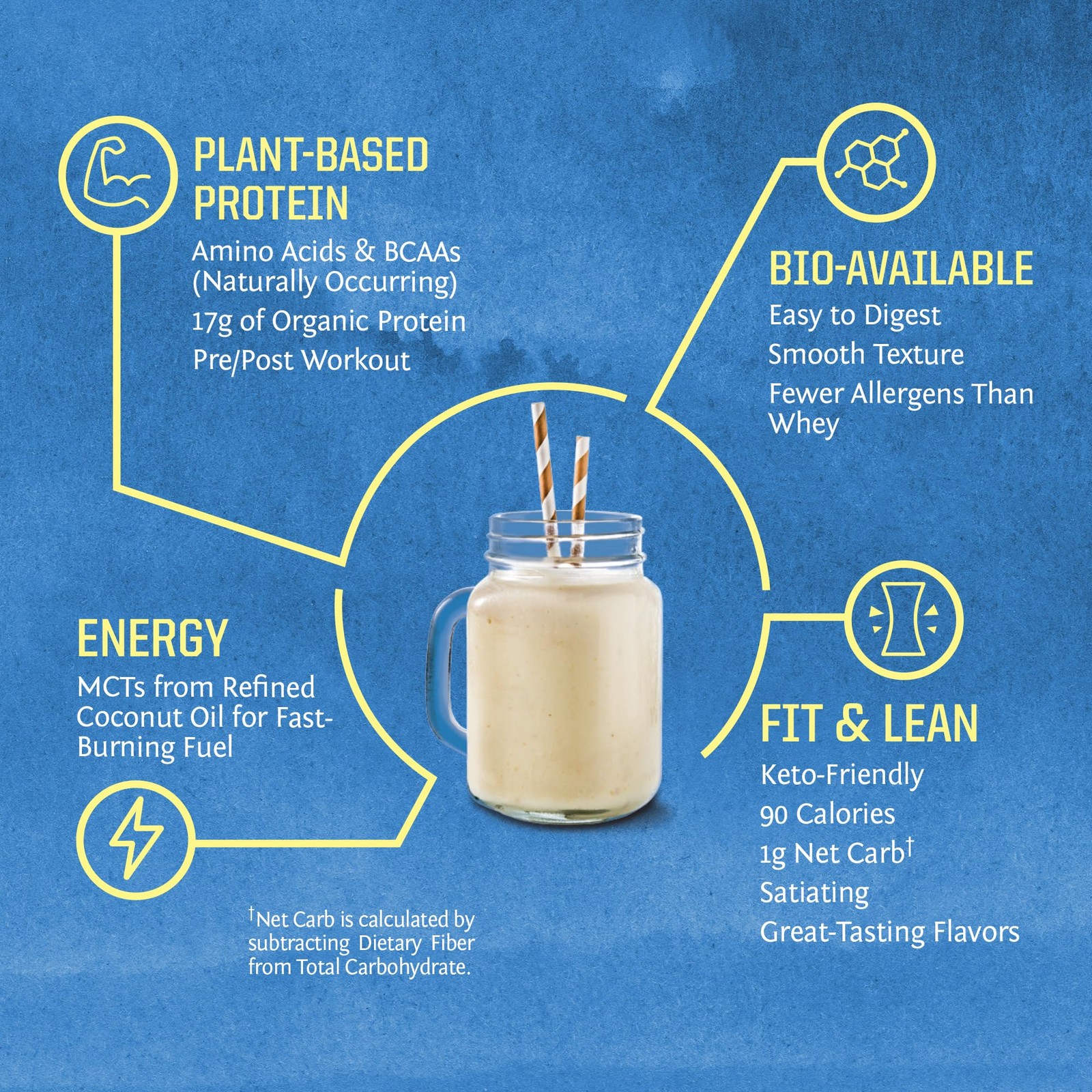 Organic Plant Based Protein Powder | Vegan 32 Servings (Pack of 1)