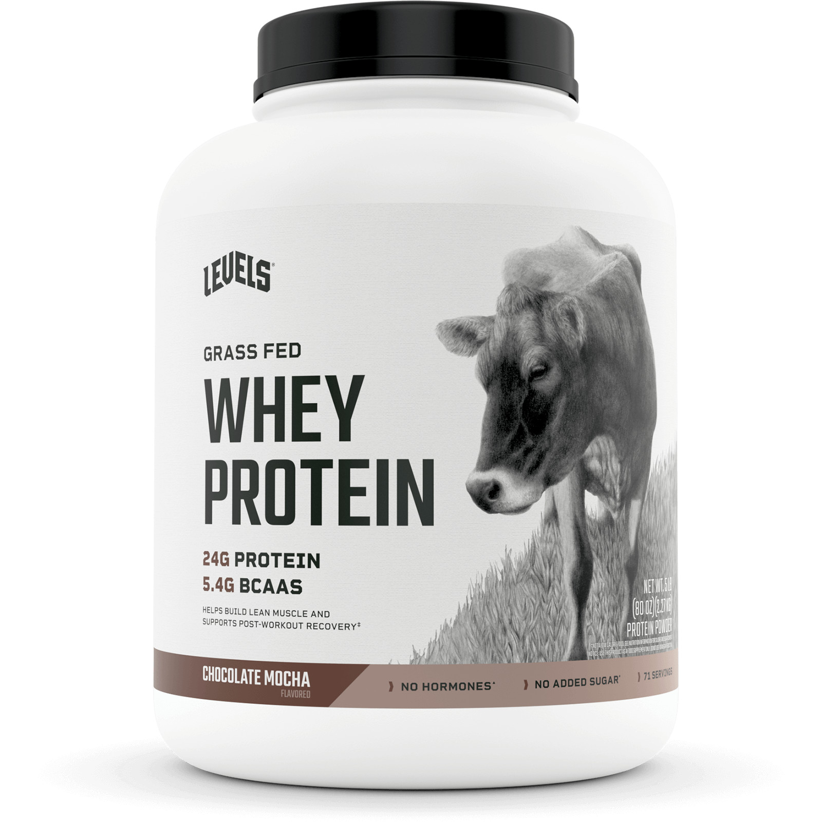 Levels Grass Fed 100% Whey Protein – 9 Flavors! – CHOOSE FLAVOR – 5 LB