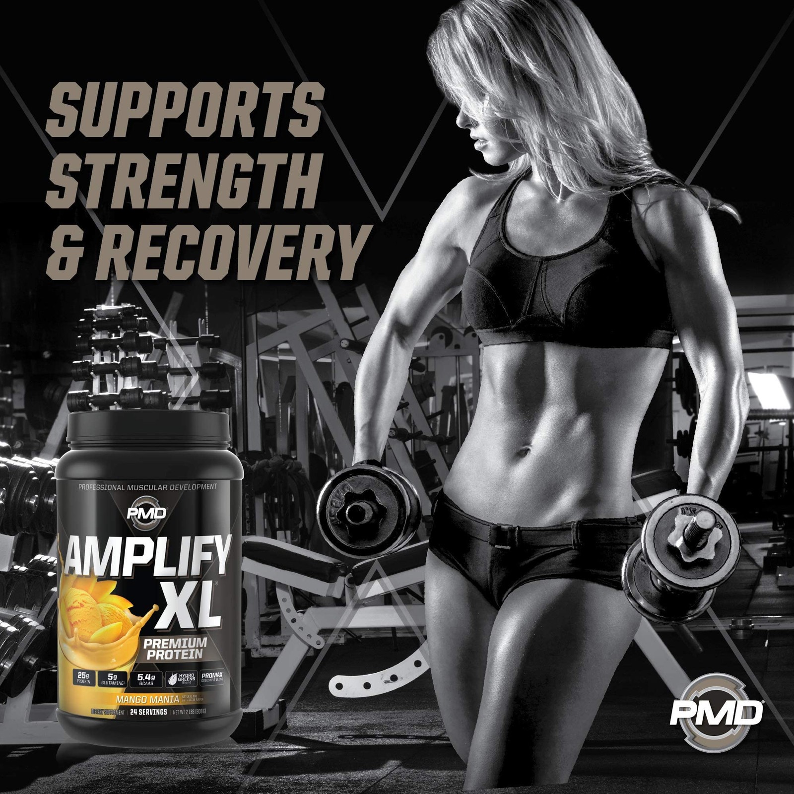 Amplify XL Mango Mania Protein Powder 2lb Muscle Recovery BCAAs Digestive Enz…