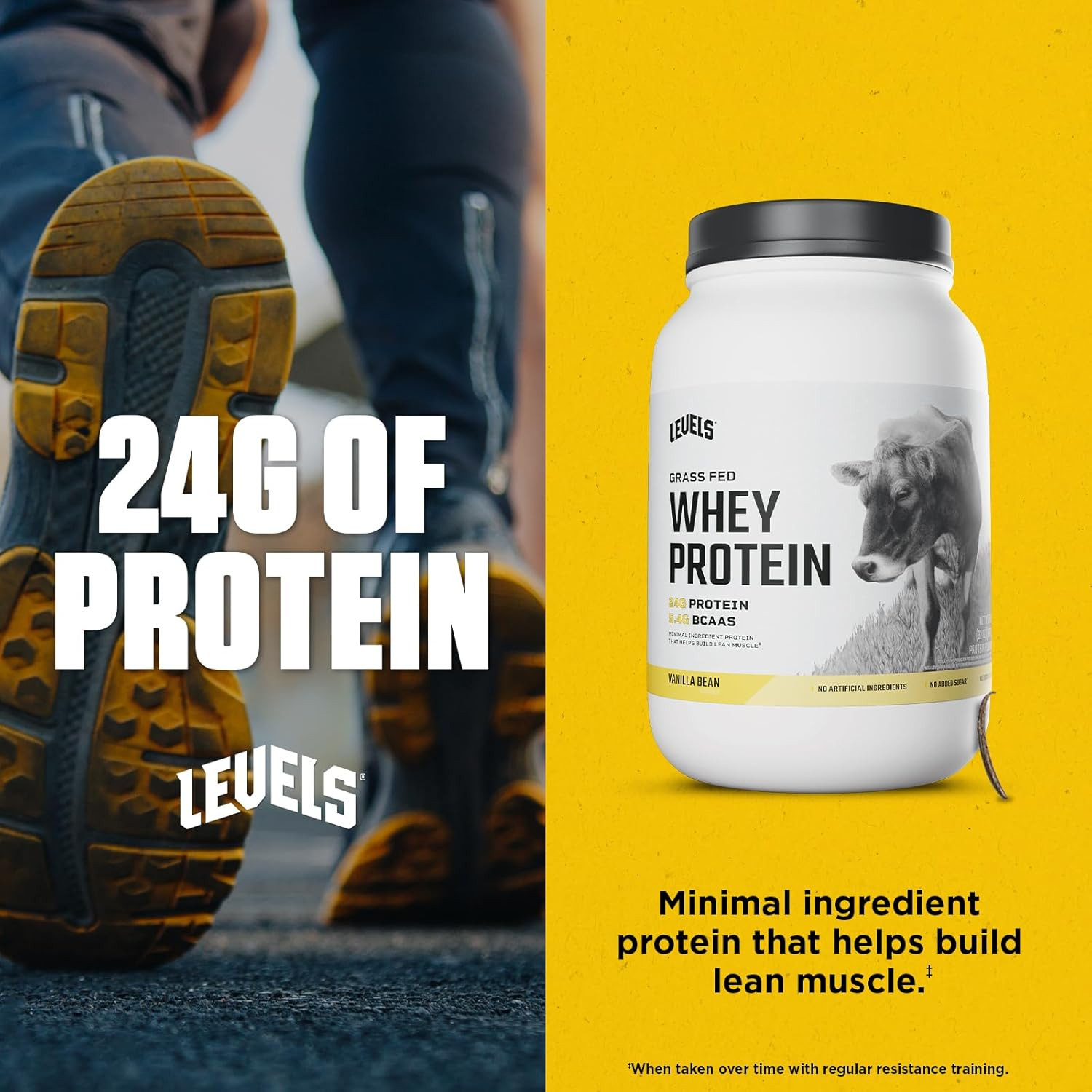 Levels Grass Fed Whey Protein Powder, No Artificials, 24G of Protein, Vanilla Be