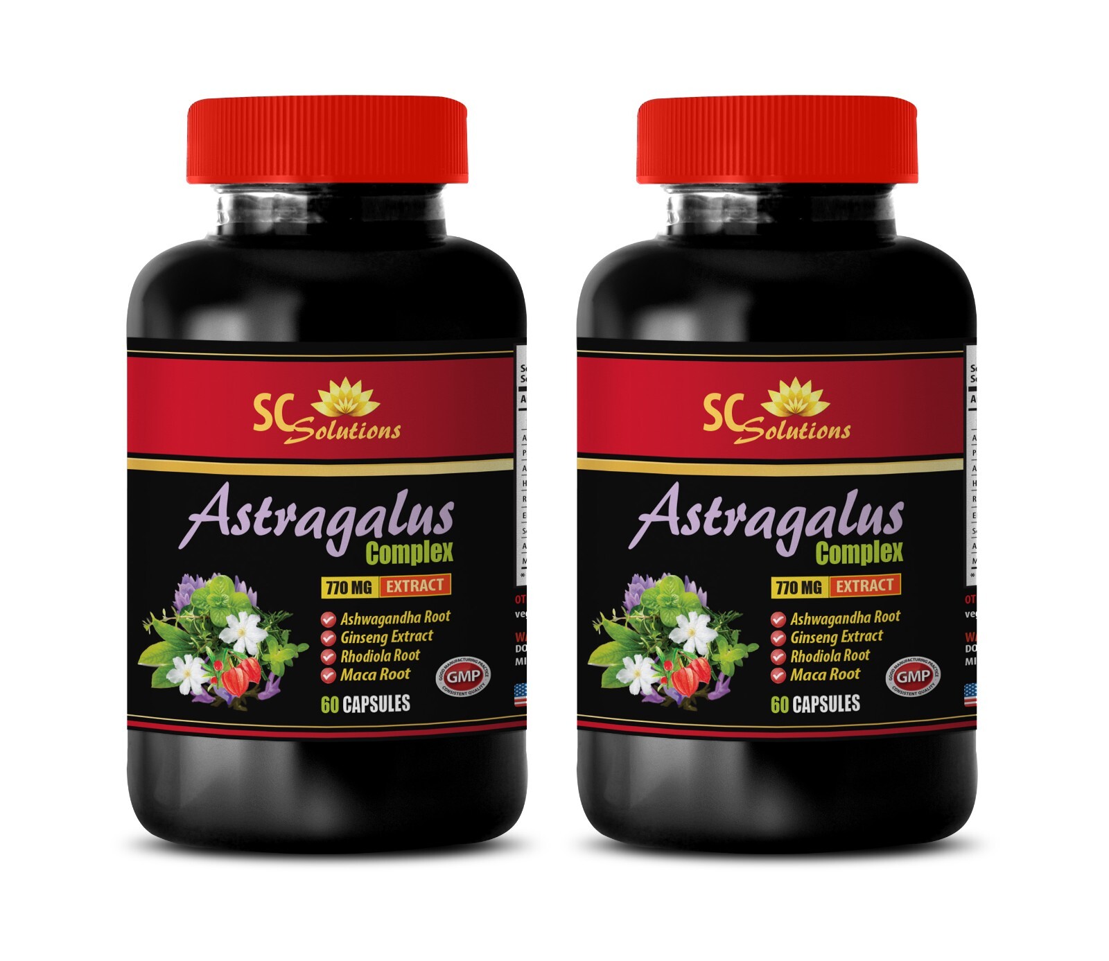 Antioxidant-rich ingredients – ASTRAGALUS ROOT COMPLEX – Immune health – 2Bot