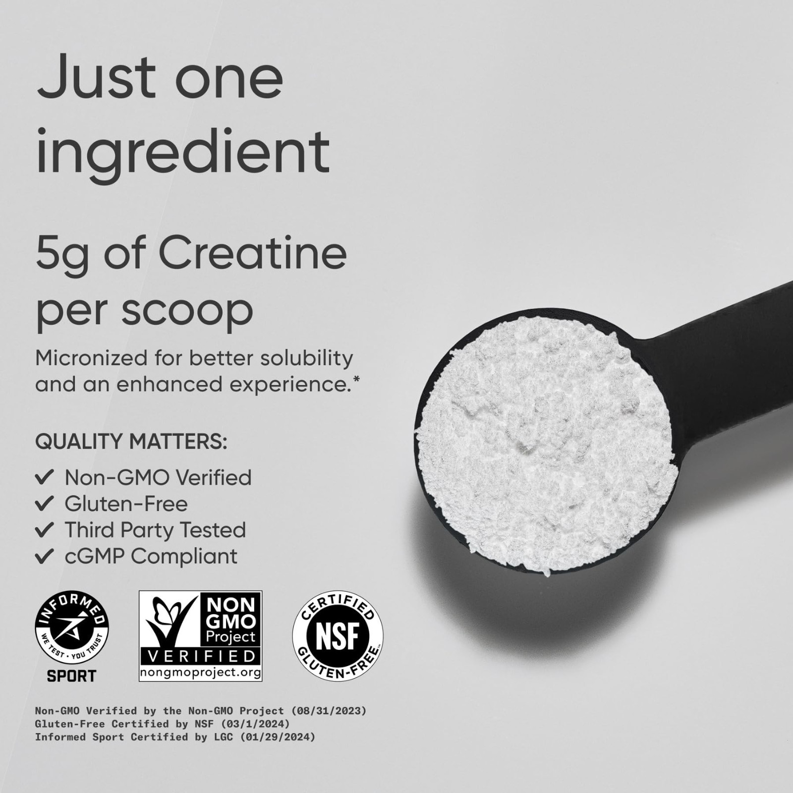 Creatine Monohydrate Powder 5g – Unflavored, 100 Servings | Micronized for Lean