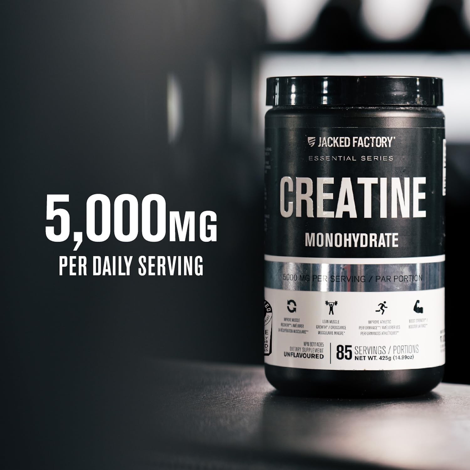 Optimum Nutrition Micronized Creatine Powder, Blueberry Lemonade Exp: 04/2028+