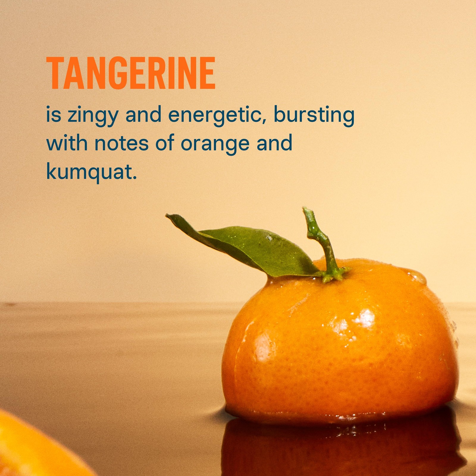 Liquid I.V. Hydration Multiplier +Immune Support – Tangerine (14 Servings)