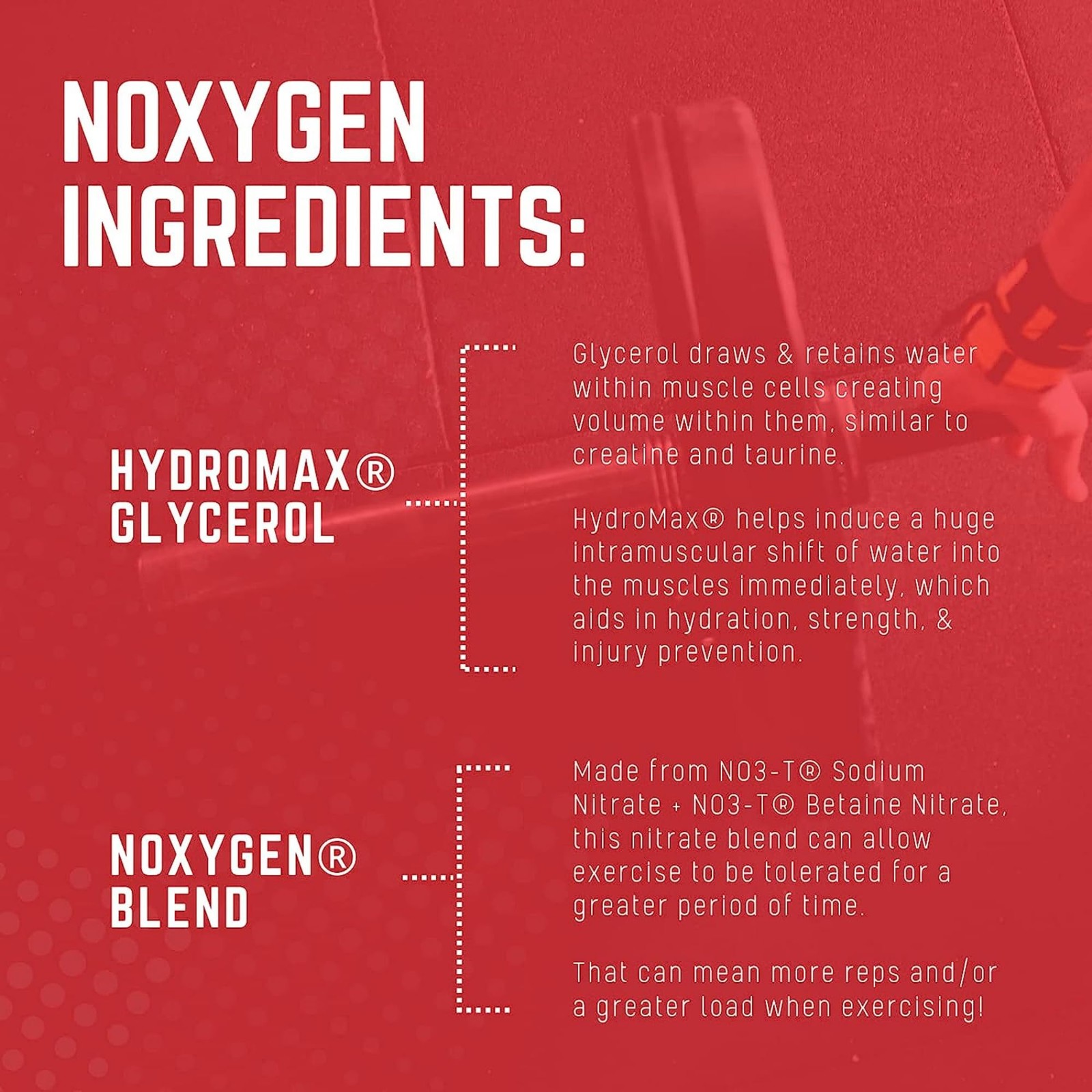 Purus Labs NOXygen Powder Pre-Workout Accelerator | 40 Servings (Pack of 1)