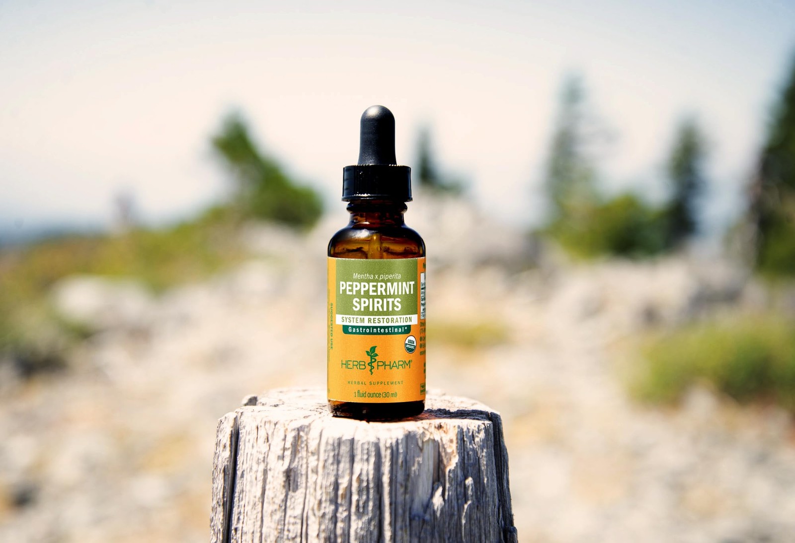 Herb Pharm Certified Organic Peppermint Spirits Liquid Extract Digestive Support