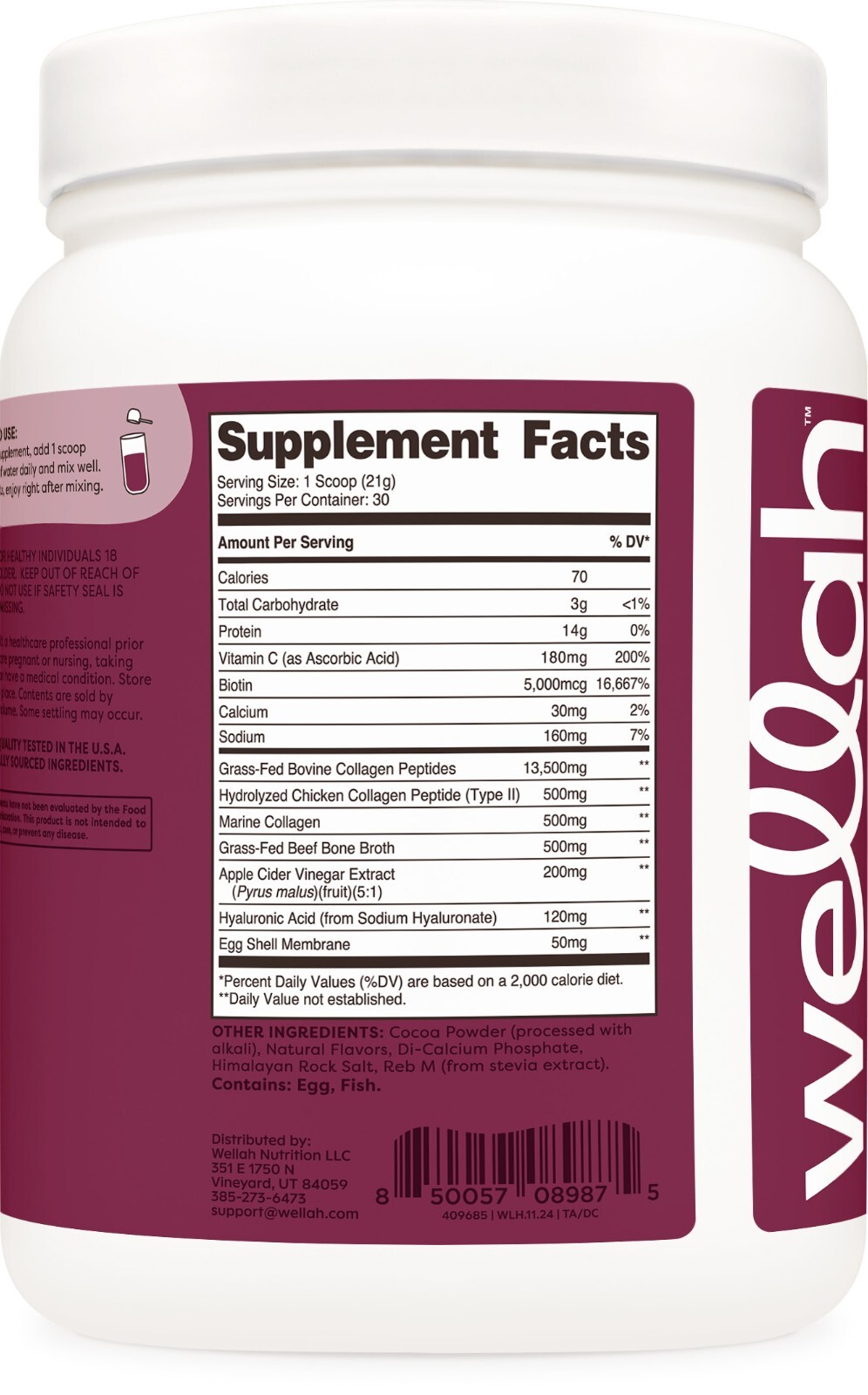 Wellah The Afterglow Multi Collagen Protein + Beauty (Dark Chocolate Flavored)