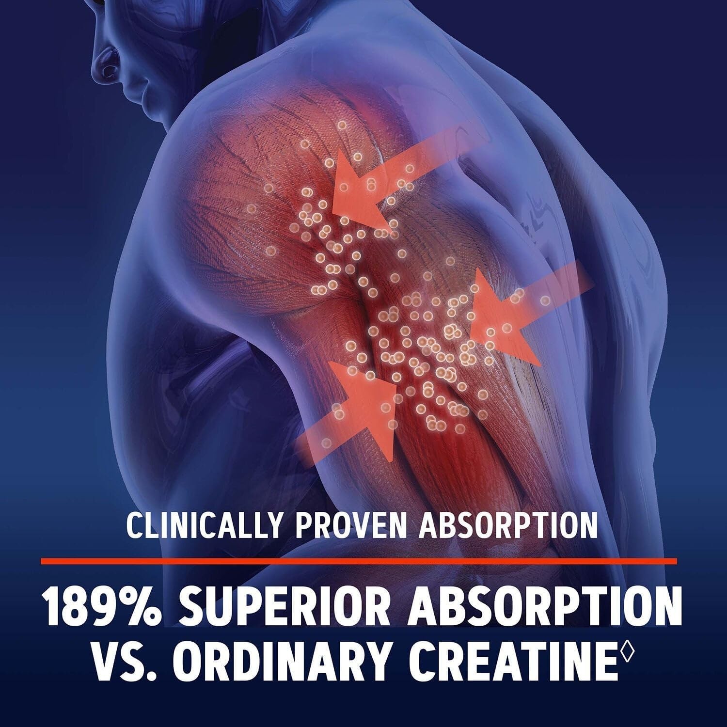 Fast Absorbing Creatine HCl 189 for Athletes