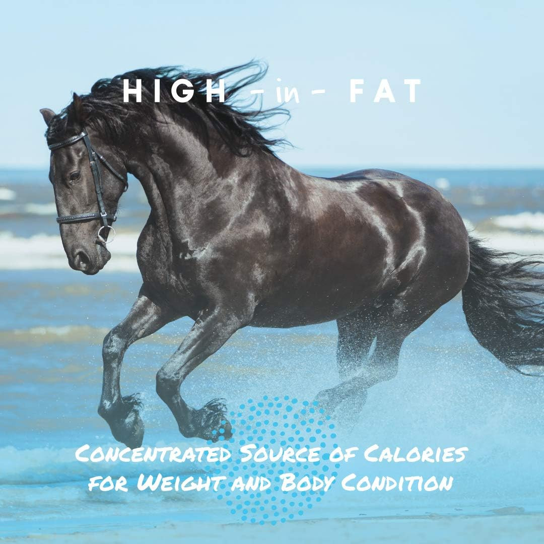 Cool Calories 100 – High-Calorie Dry Fat Supplement for Horses – Supports Health