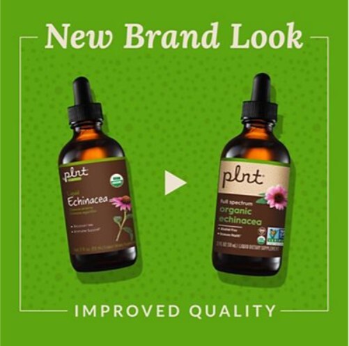 Organic Liquid Echinacea – Promotes Immune Health – Alcohol-Free (2 fl. oz.)
