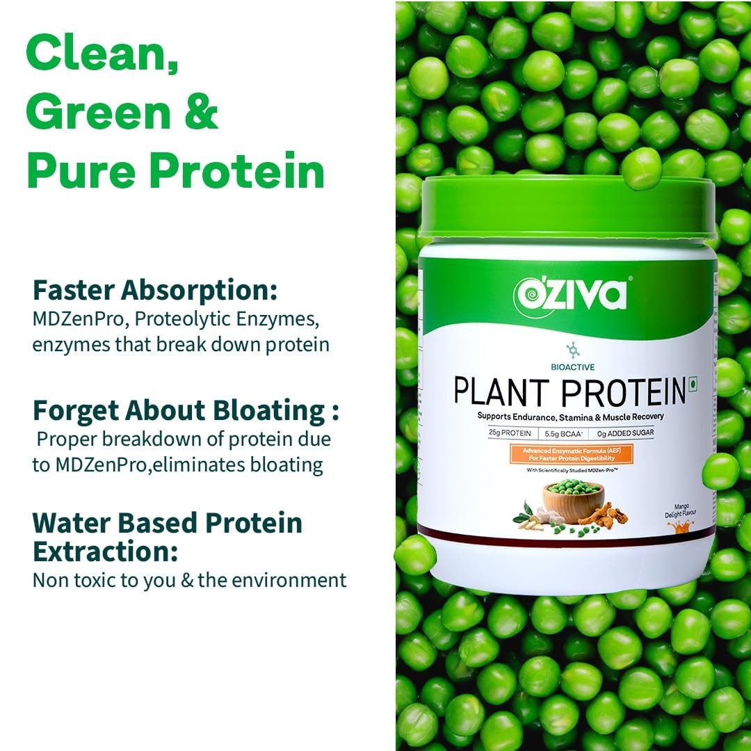 OZiva Plant Protein Powder Chocolate 500g 25g Protein BCAA Vegan No Sugar