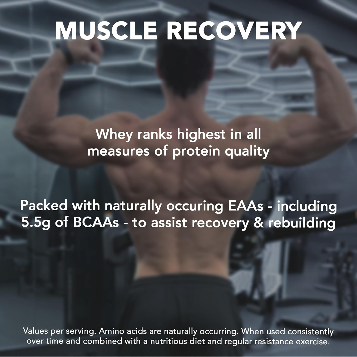 Rival Whey Rich Chocolate 5Lb