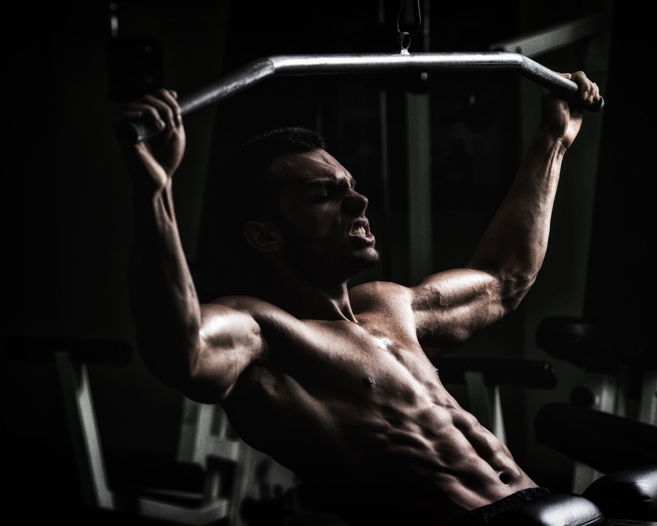 Tribulus terrestris and Ginkgo Biloba Testosterone booster Muscle Weight gainer
