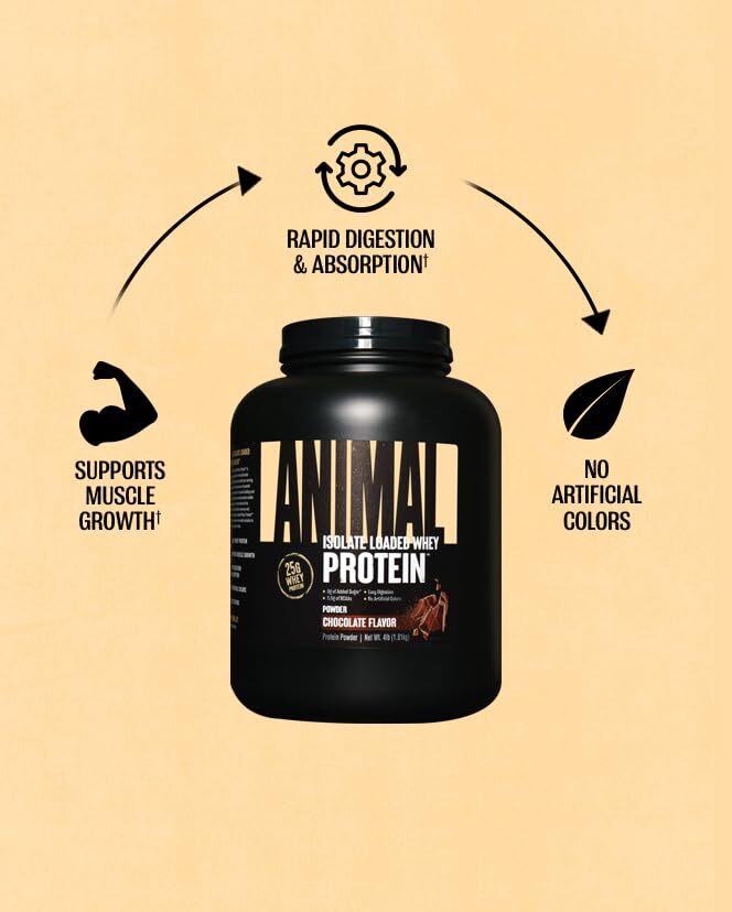 Chocolate Protein Supplement Powder 52 Servings 25g Protein Per Scoop