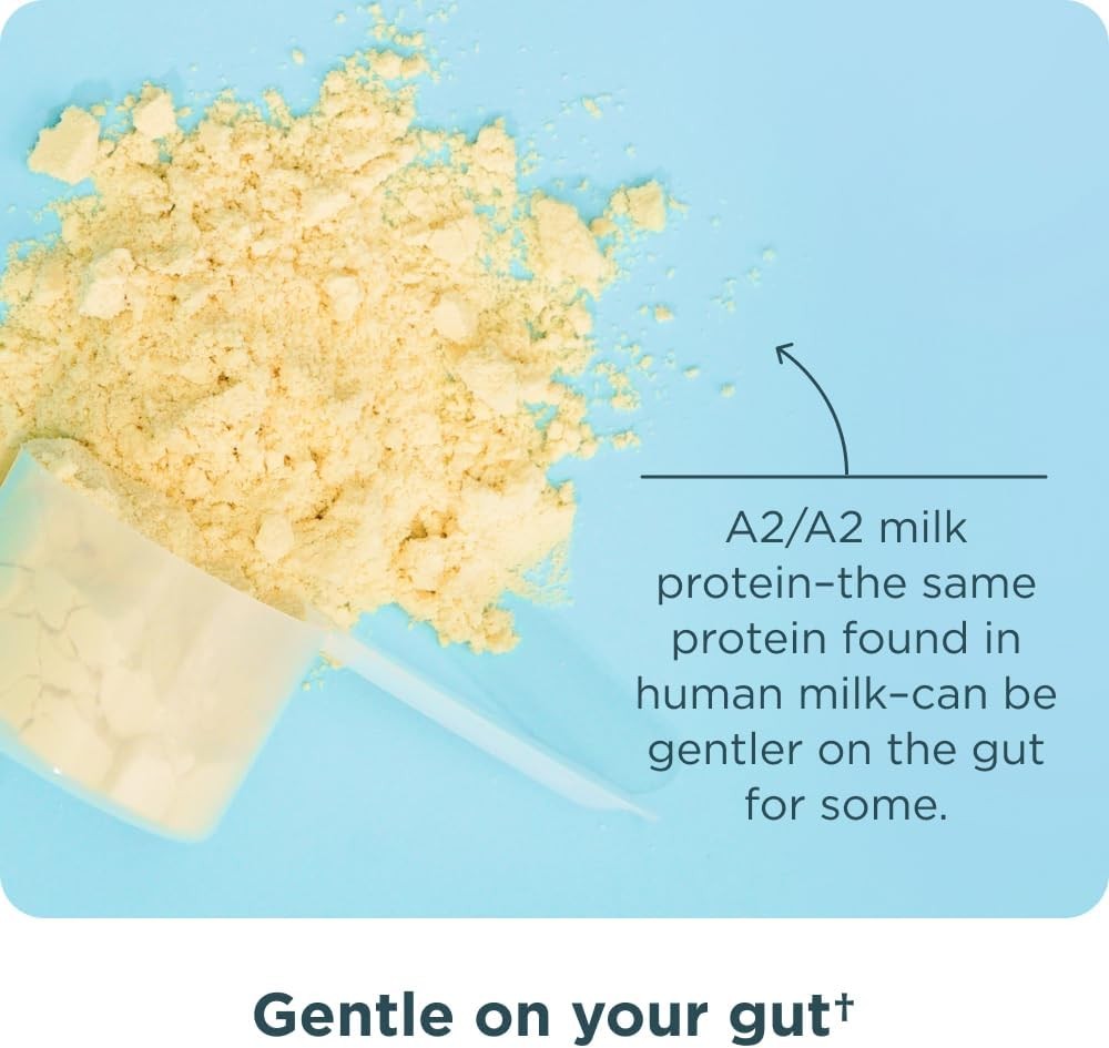 Grass Fed Whey Protein Vanilla Bean A2/A2 Milk Protein Collagen Peptides