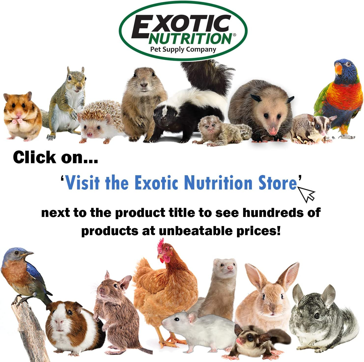 Premium Insectivore Diet (1.25Lb) – Healthy Nutritious Chicken Based High Protei