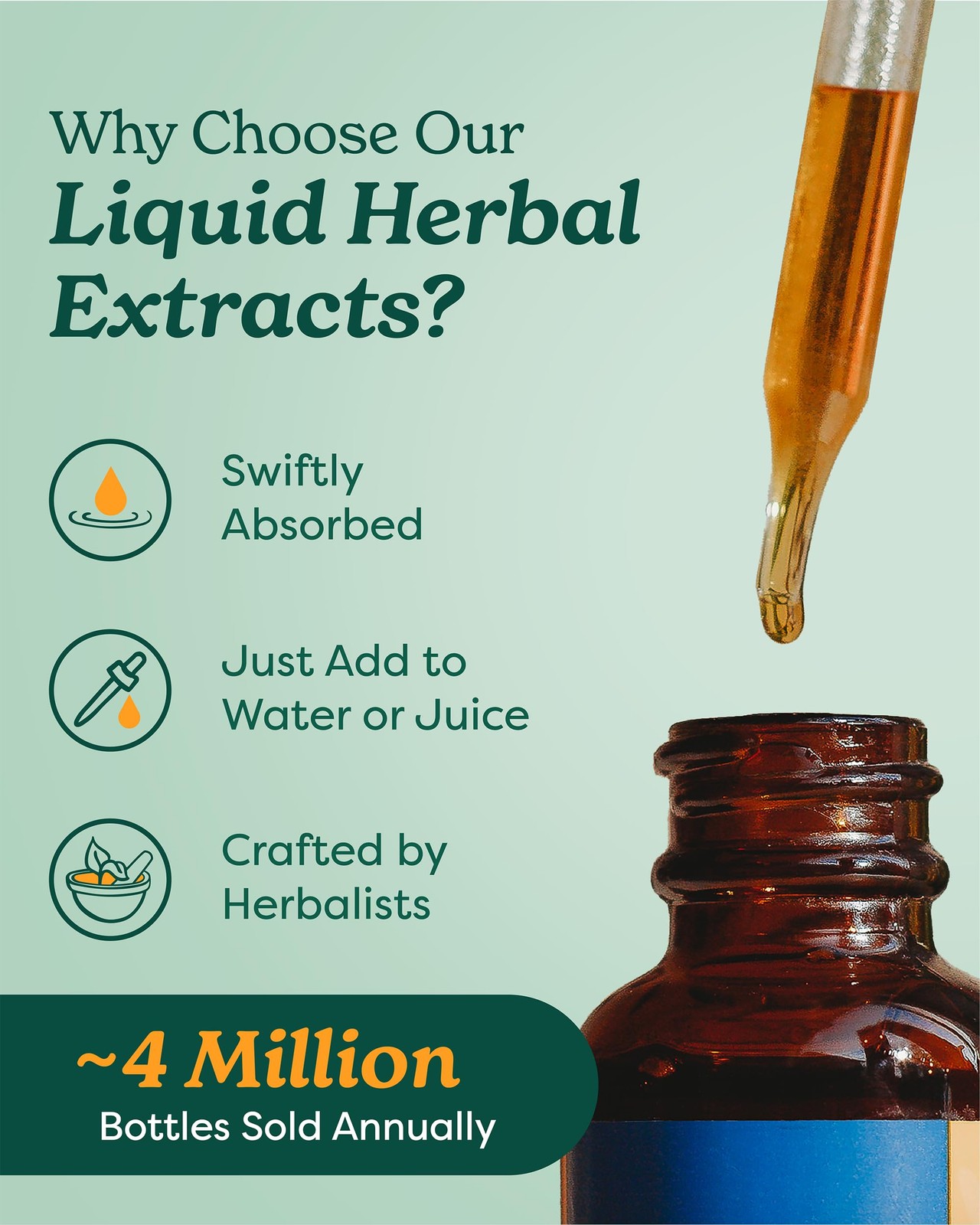 Herb Pharm Organic Clove Liquid Extract – 4 fl oz – Oral & Digestion Support
