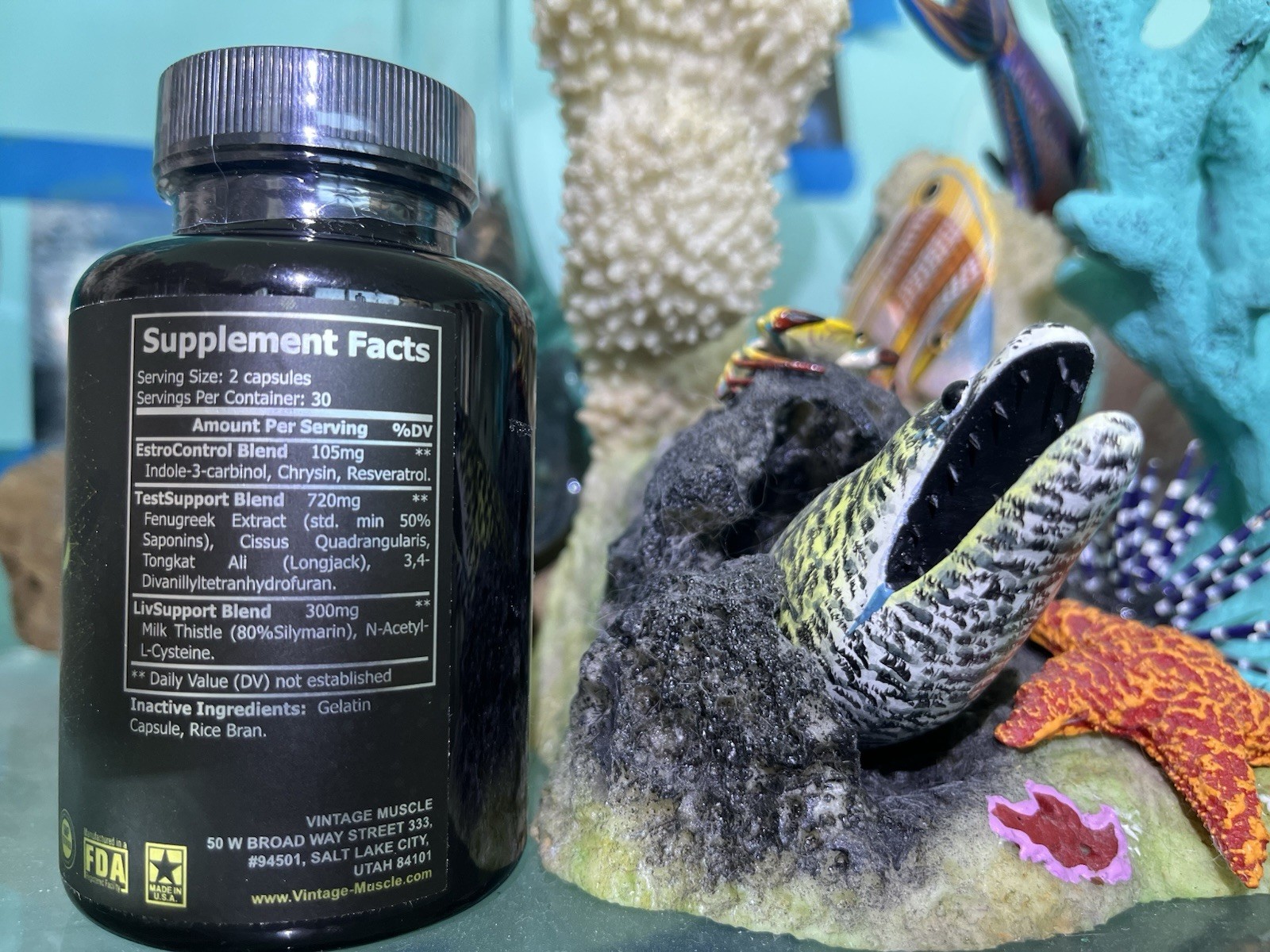 Cycle🔁Support Post Cycle Therapy 💊4 Test Production By Vintage Muscle💪🏛️