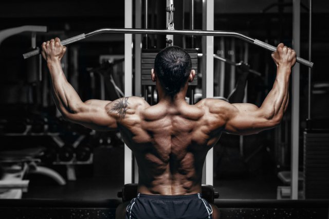 kidney support – L-CARNITINE 510mg – amino acids muscle growth – 2 Bottles